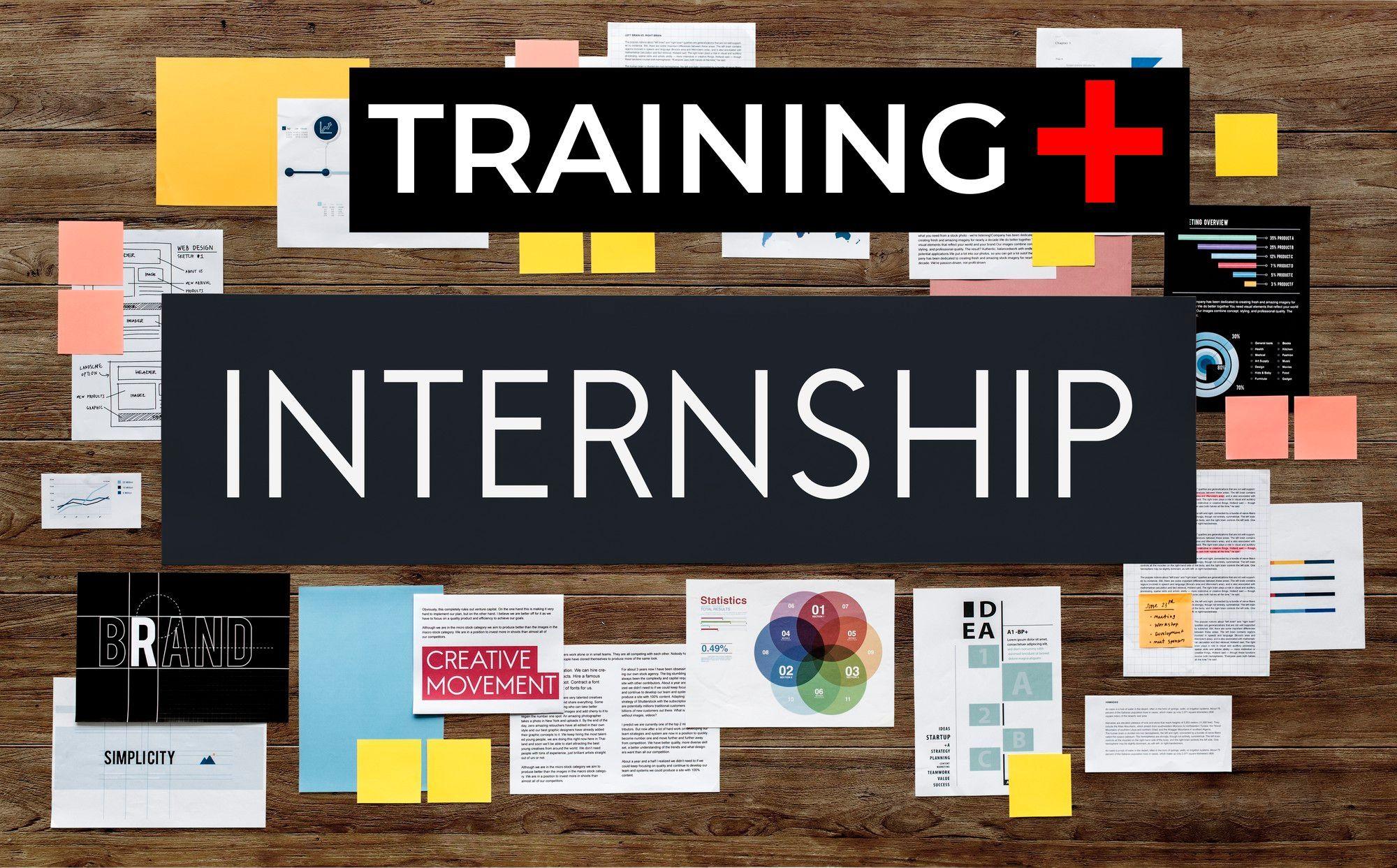 Which Is Better for Your Career: Paid Internship, Paid Training, or a Combined Option?